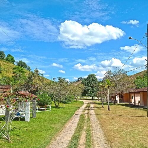 Chalés de madeira em meio ao jardim